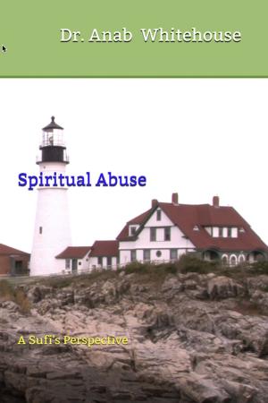 Book cover of Spiritual Abuse: A Sufi's Perspective