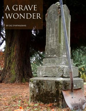 Cover of the book A Grave Wonder by Will Todd