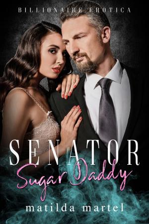 Cover of the book Senator Sugar Daddy by Matilda Martel