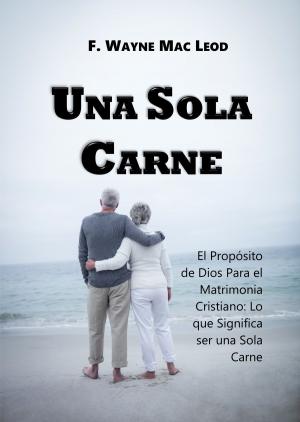 Book cover of Una Sola Carne