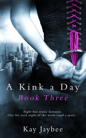 Cover of the book A Kink a Day Book Three by Gail McFarland