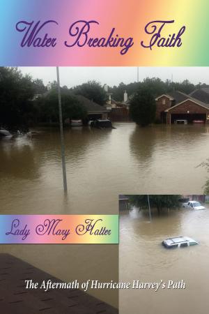 Cover of the book Water Breaking Faith: The Aftermath of Hurricane Harvey's Path by Stacie Milescu