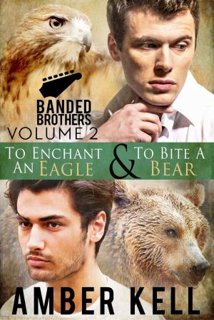 Book cover of Banded Brothers, Volume 2