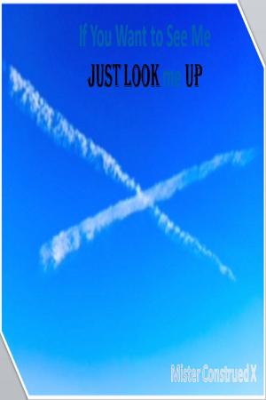 Cover of the book If You Want to See Me Just Look me Up by Wyann Vaughn