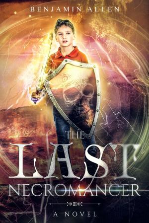Book cover of The Last Necromancer
