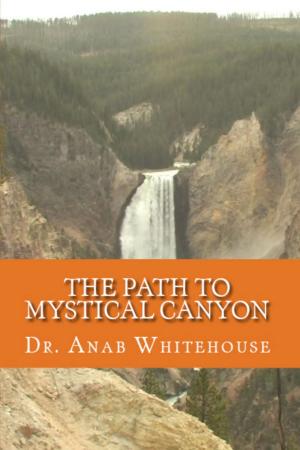 Book cover of The Path to Mystical Canyon