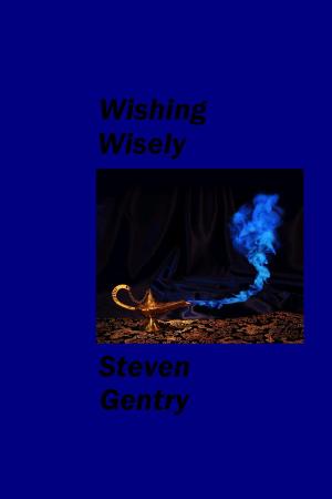 bigCover of the book Wishing Wisely by 