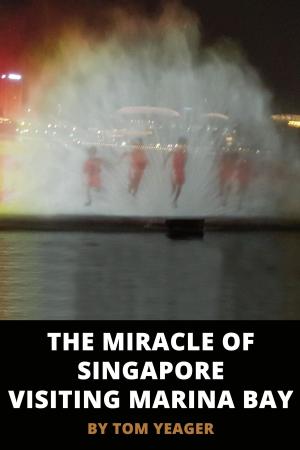 Book cover of The Miracle of Singapore Visiting Marina Bay