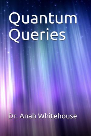 Book cover of Quantum Queries