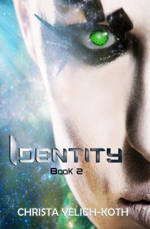 Cover of the book Identity by Fionn Jameson