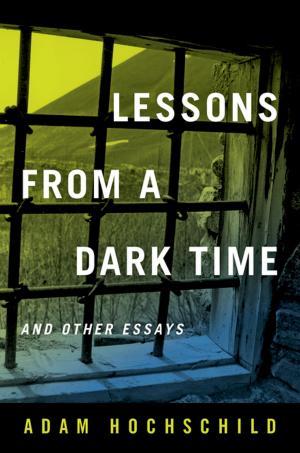 Cover of the book Lessons from a Dark Time and Other Essays by Mark Twain