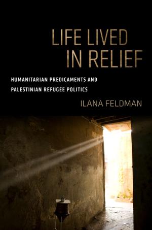 Cover of the book Life Lived in Relief by John Iceland