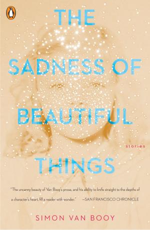 Book cover of The Sadness of Beautiful Things