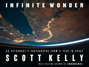 Cover of the book Infinite Wonder by Richard Hofstadter