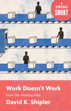 Cover of the book Work Doesn't Work by Kathy Russell, Midge Wilson, Ph.D., Ronald Hall