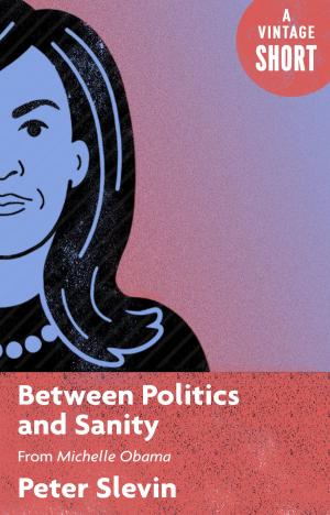 Cover of the book Between Politics and Sanity by Mary Jo Salter