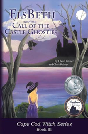 Book cover of ElsBeth and the Call of the Castle Ghosties