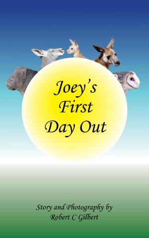 bigCover of the book Joey's First Day Out by 