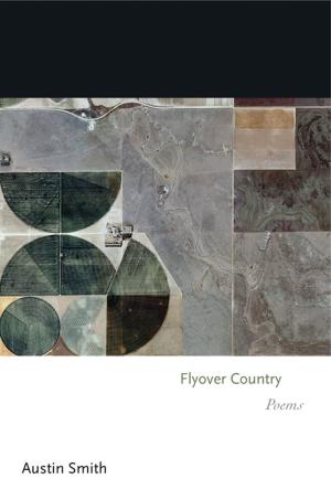 Cover of the book Flyover Country by John Plotz