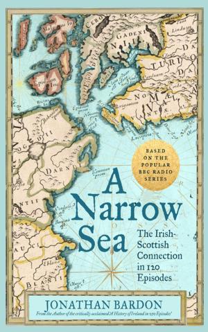 Cover of the book A Narrow Sea by Sean Moncrieff