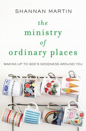 Cover of the book The Ministry of Ordinary Places by Bill Myers