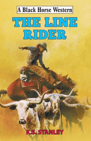 Cover of the book The Line Rider by Colin Bainbridge