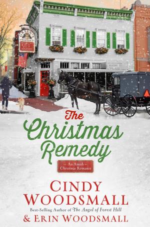 Cover of the book The Christmas Remedy by Stephen Arterburn, Kenny Luck, Todd Wendorff