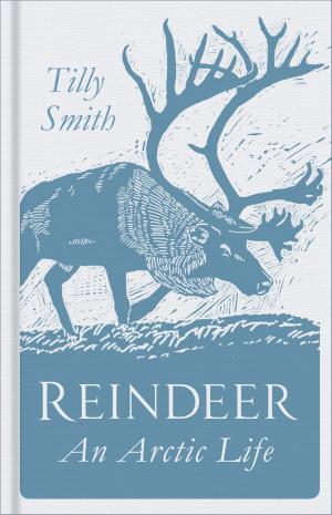 Cover of the book Reindeer by Peter Thurgood