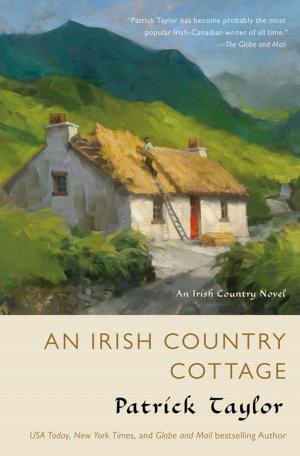 Cover of the book An Irish Country Cottage by Dani Kollin, Eytan Kollin
