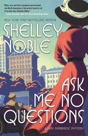Cover of the book Ask Me No Questions by Paul Melko