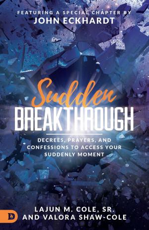 Book cover of Sudden Breakthrough