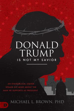 Cover of the book Donald Trump is Not My Savior by tiaan gildenhuys