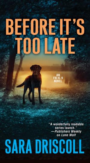 Cover of the book Before It's Too Late by Dusty Richards