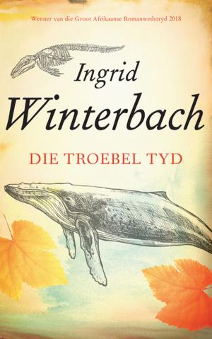 Cover of the book Die troebel tyd by Fanie Viljoen
