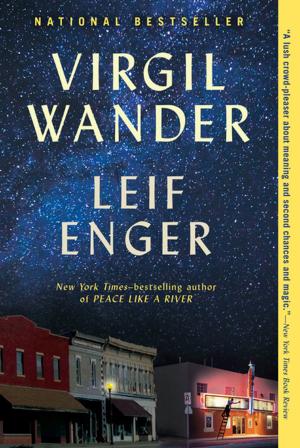 Cover of the book Virgil Wander by Rick Bettencourt