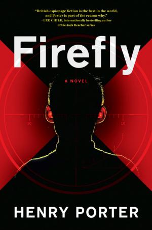 Cover of the book Firefly by Bonnie Nadzam