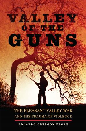Cover of the book Valley of the Guns by Douglas R. Cubbison