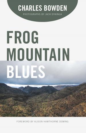 Book cover of Frog Mountain Blues