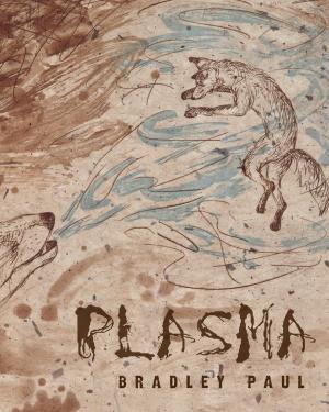 Cover of the book Plasma by Qwantu Amaru