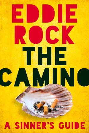 Book cover of The Camino