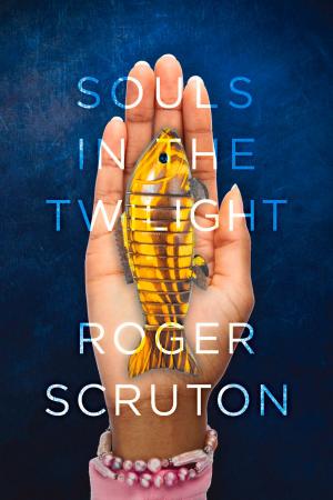 Cover of the book Souls in the Twilight by Richard Probert