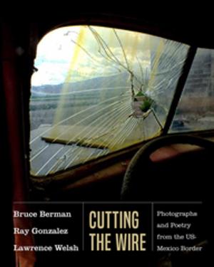 Book cover of Cutting the Wire