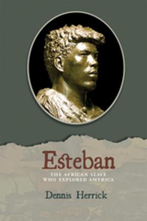 Cover of the book Esteban by Lois Palken Rudnick