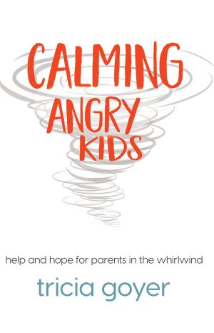 Book cover of Calming Angry Kids