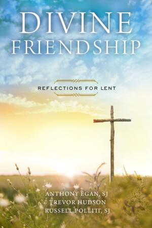 Cover of the book Divine Friendship by Bishop Eben Kanukayi Nhiwatiwa