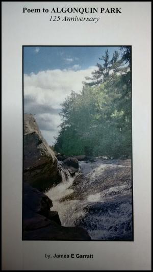 Cover of the book Poem To Algonquin Park by Mohamed Abdel Aziz