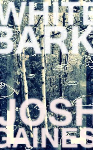 Cover of the book White Bark by Kristoff Chimes