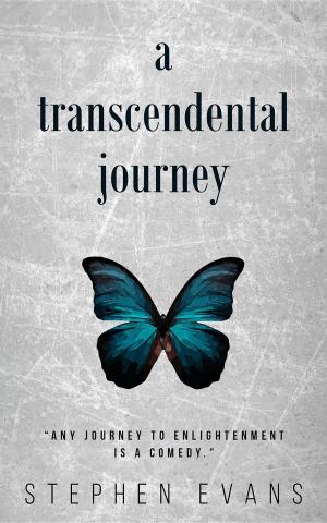 Book cover of A Transcendental Journey