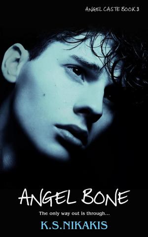 Book cover of Angel Bone
