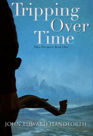 Cover of the book Tripping Over Time by John McAllister